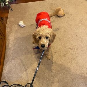 Meet your Posher, Mary beth